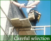 �V�X�e���n�E�X�E�l�@�C���[�W�ʐ^