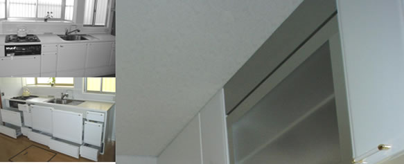 �V�X�e���n�E�X�@�{�H����W�ʐ^