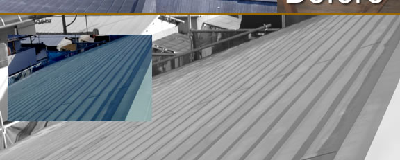 �V�X�e���n�E�X�@�{�H����W�ʐ^